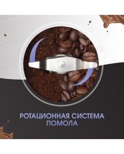 Купить Кофемолка Zigmund &amp; Shtain ZCG-01 серебристый, серый  в E-mobi