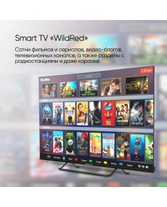 Купить Телевизор Topdevice TDTV24CS04H_BK, 24&quot;(61 см), HD  в E-mobi