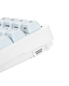 Купить Проводная/беспроводная клавиатура ARDOR GAMING Guardian белый (AG-ZD-Gu97GY-HS-G-Sub-W)  в E-mobi