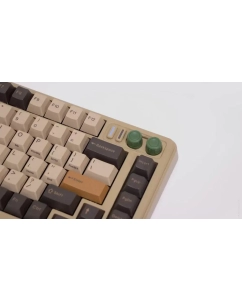 Купить Беспроводная игровая клавиатура Shurikey Gear Saizo SZB81 Theme 002  в E-mobi