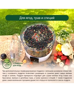Купить Сушилка для овощей и фруктов Marta MT-FD1886J белый  в E-mobi