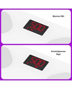 Купить Весы напольные Kitfort КТ-839 белый  в E-mobi