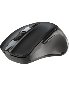 Купить Беспроводная мышь Defender Prime MB-053 черный  в E-mobi