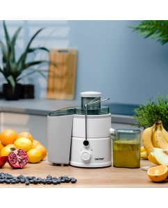 Купить Соковыжималка центробежная Zelmer ZJE3800 600 Вт белый  в E-mobi