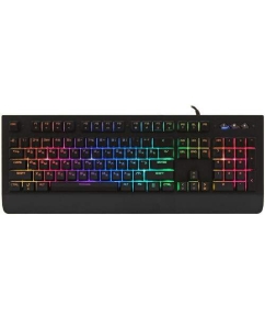 Купить Проводная клавиатура ARDOR GAMING Ranger V2 черный (AG-DC-R104PL-BV2) в E-mobi