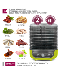 Купить Сушилка для овощей и фруктов Мастерица EFD-1001VM зеленый  в E-mobi