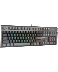 Купить Проводная клавиатура A4Tech Fstyler FS100 Neon серый, черный (FS100)  в E-mobi