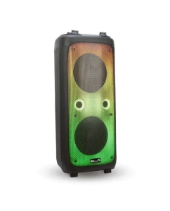 Купить Портативная колонка Eltronic 20-62 FIRE BOX 1000 Black в E-mobi