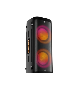 Купить Портативная колонка Soundmax SM-MS4305 Black в E-mobi