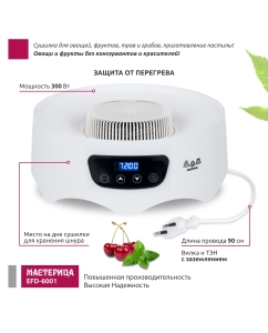 Купить Сушилка для овощей и фруктов Мастерица EFD-6001 белый  в E-mobi