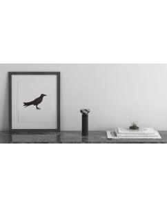 Купить Электробритва Xiaomi Mijia Electric Shaver S500 Black  в E-mobi