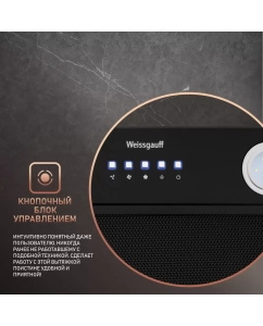 Купить Вытяжка встраиваемая Weissgauff Dabih 60 BL черный  в E-mobi