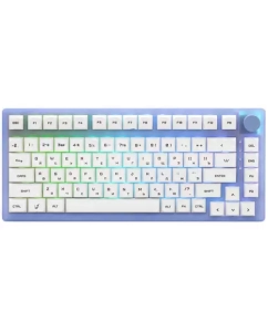 Купить Проводная/беспроводная клавиатура ARDOR GAMING AG-ZD-Pa83GY-P-HS-G-Sub белый, фиолетовый в E-mobi