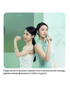 Купить Портативная колонка Divoom SongBird-HQ 2 Green  в E-mobi