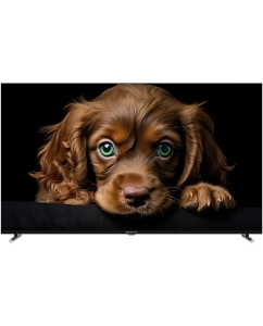 Купить Телевизор Topdevice TDTV65CQ08U_BK, 65