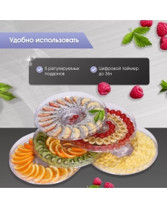 Купить Сушилка для овощей и фруктов Zigmund &amp; Shtain ZFD-410 Black, Silver  в E-mobi