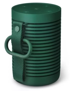 Купить Портативная акустика Bang & Olufsen Beosound Explore (Green) в E-mobi
