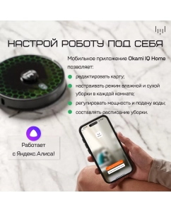 Купить Робот-пылесос Okami R117 черный  в E-mobi