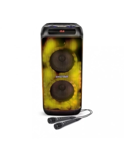 Купить Музыкальный центр SmartBuy FLAMER Black в E-mobi