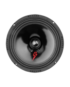 Купить Колонки автомобильные Ural Молния АС-МЛ200 (без решетки) 200Вт 94дБ 4Ом 20см (8дюйм) (ком. в E-mobi