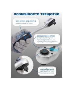 Купить Набор инструментов Scheppach 1/4&quot;, 3/8&quot;, 1/2&quot; 6, 12 гр. 4-32 мм, 216+2 предмета Sch-38841+2(59300)  в E-mobi