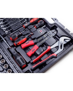 Купить Набор инструмента СЕРВИС КЛЮЧ 99 предметов 11099  в E-mobi