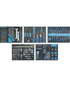 Купить Набор инструментов AutoMeister в ложементах для инструментальной тележки 229 пр 71975 в E-mobi