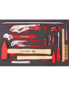 Купить Набор инструментов в ложементе IZELTAS 43 предмета 8245005043 в E-mobi