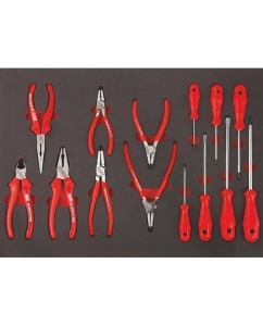 Купить Набор инструментов IZELTAS 14 предмета, ложемент 8245003014 в E-mobi