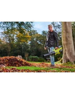 Купить Воздуходувка Ryobi RY36BLXB-0 36В 5133005646  в E-mobi