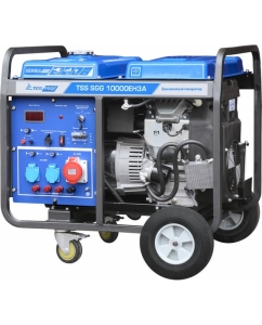 Купить Бензогенератор ТСС SGG 10000 EH3A 190010 в E-mobi