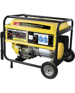 Купить Бензиновый генератор БИЗОН ГБ-6500 в E-mobi