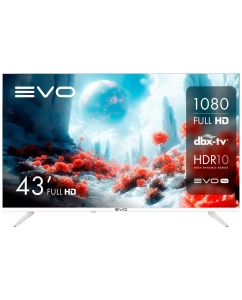 Купить Телевизор EVO tv 43, 43