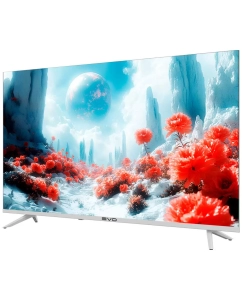 Купить Телевизор EVO tv 43, 43&quot;(109 см), FHD  в E-mobi