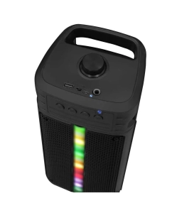 Купить Портативная колонка Ginzzu GM-914B Black  в E-mobi