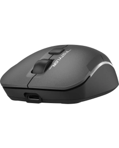 Купить Беспроводная мышь A4Tech FB26CS Air2 серый (FB26CS AIR2 SMOKY GREY)  в E-mobi