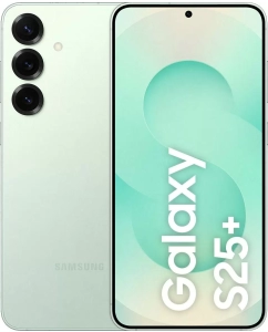 Купить Смартфон Samsung Galaxy S25+ 5G 12/256GB Mint в E-mobi