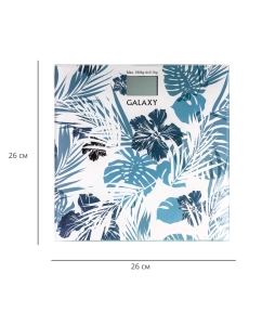 Купить Весы напольные Galaxy GL4801 Grey  в E-mobi