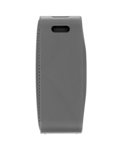 Купить Портативная колонка DEXP P190, серый  в E-mobi