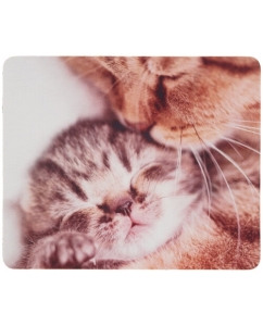 Купить Коврик DEXP OM-XS Kitten  разноцветный в E-mobi