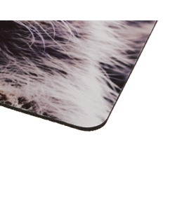 Купить Коврик DEXP OM-XS Racoon  разноцветный  в E-mobi