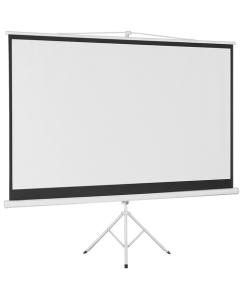 Купить 100" Экран для проектора DEXP TMD-100  в E-mobi