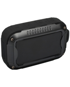 Купить Портативная колонка Aceline P390, черный в E-mobi