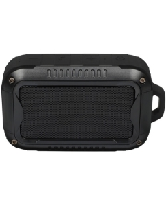 Купить Портативная колонка Aceline P390, черный  в E-mobi