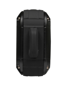 Купить Портативная колонка Aceline P390, черный  в E-mobi