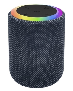 Купить Портативная колонка Aceline APS165, серый в E-mobi