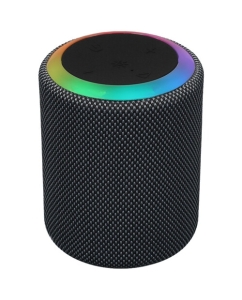 Купить Портативная колонка Aceline APS165, серый  в E-mobi