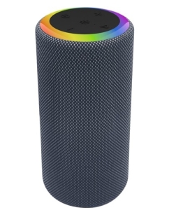 Купить Портативная колонка Aceline APS275, серый в E-mobi