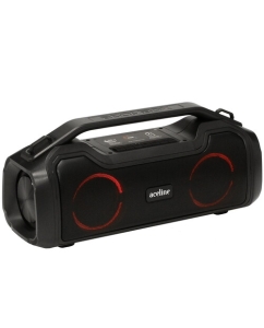 Купить Портативная колонка Aceline P570, черный в E-mobi