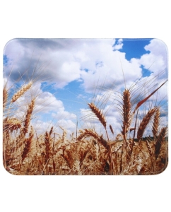 Купить Коврик Aceline Nature 02 (S) разноцветный в E-mobi